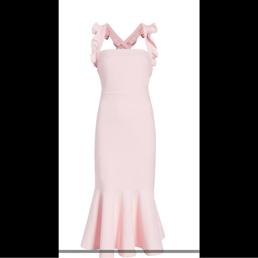 Likely Hara Dress pink color (color Rosh) Elegant dress new with tags size 12